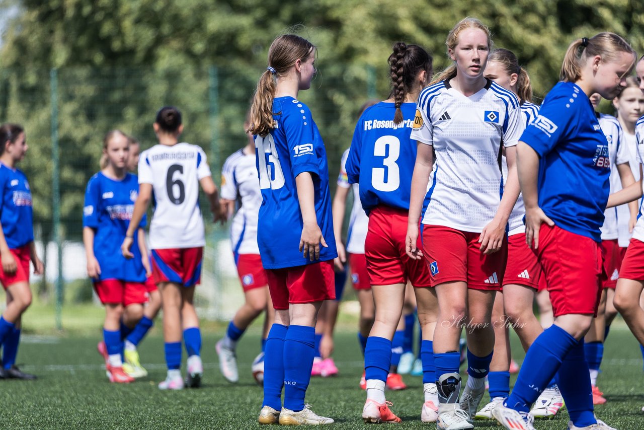 Bild 371 - wCJ Hamburger SV - FC Rosengarten : Ergebnis: 1:1